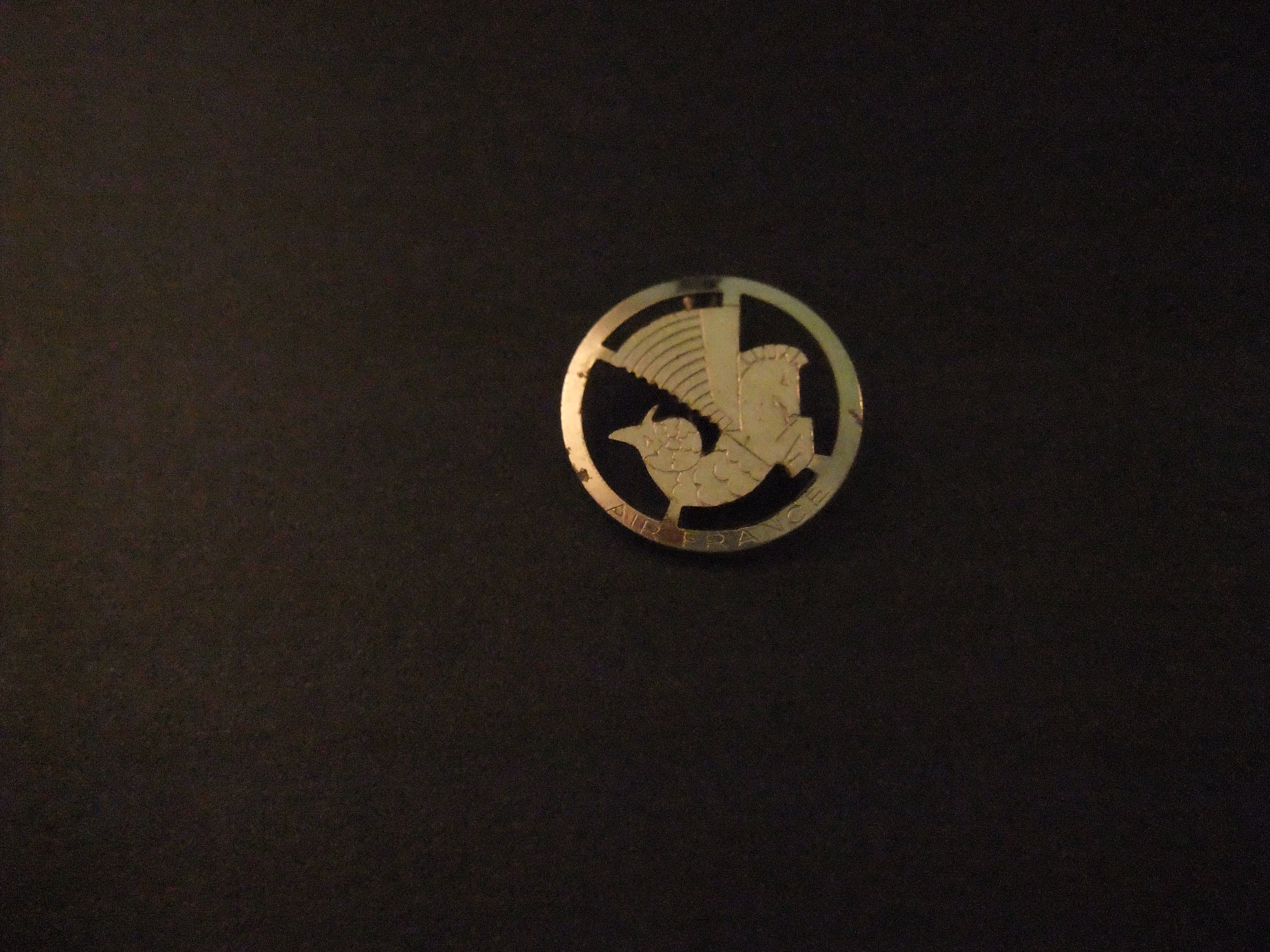 Air France(  holding Air France-KLM) nationale luchtvaartmaatschappij van Frankrijk zilverkleurig logo